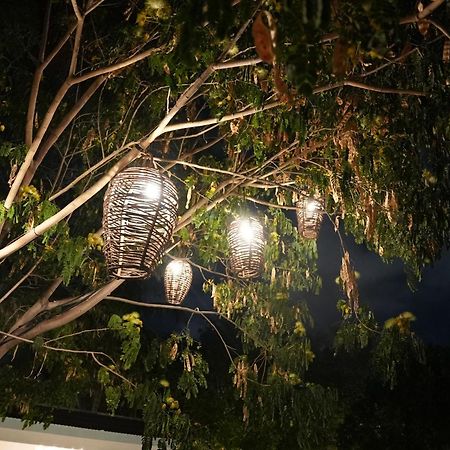 Casa Elda Otel Mérida Dış mekan fotoğraf