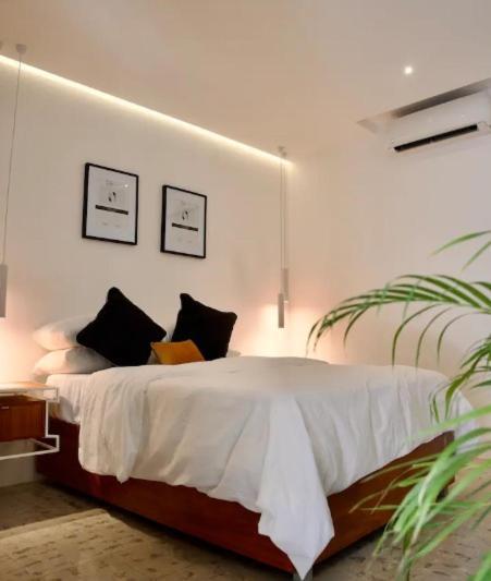 Casa Elda Otel Mérida Dış mekan fotoğraf